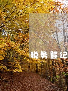 税务登记逾期了 税务登记逾期了