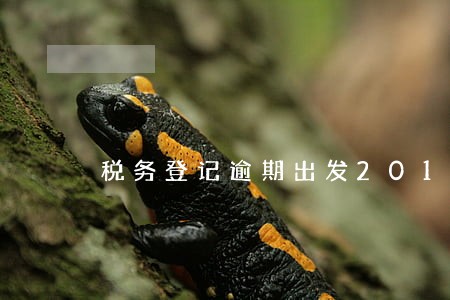 税务登记逾期出发2017 税务登记逾期出发2017
