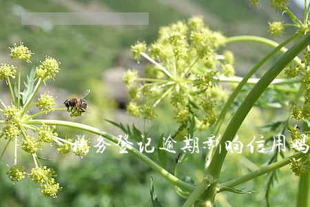 税务登记逾期影响信用吗 税务登记逾期影响信用吗