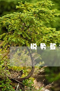 税务登记逾期罚款2020