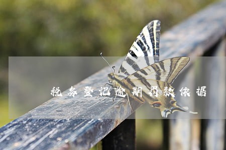 税务登记逾期罚款依据