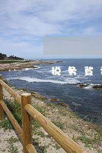 税务登记逾期罚款能撤销吗 税务登记逾期罚款能撤销吗