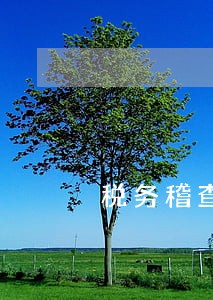 税务稽查多次逾期 税务稽查多次逾期