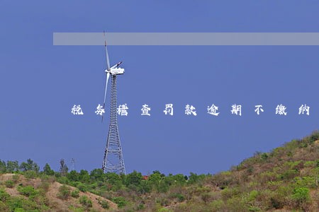 税务稽查罚款逾期不缴纳 税务稽查罚款逾期不缴纳