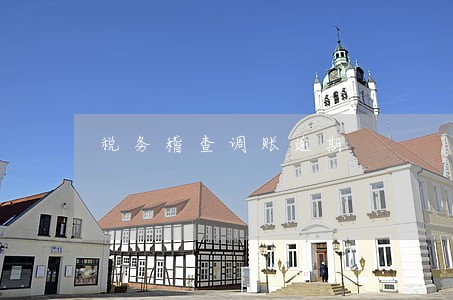 税务稽查调账逾期 税务稽查调账逾期