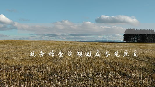 税务稽查逾期回函客观原因 税务稽查逾期回函客观原因