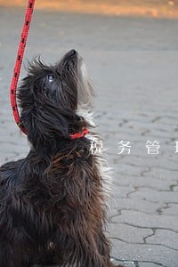 税务管理相关法规 税务管理相关法规