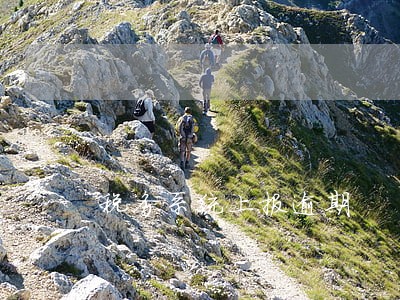 税务系统上报逾期 税务系统上报逾期