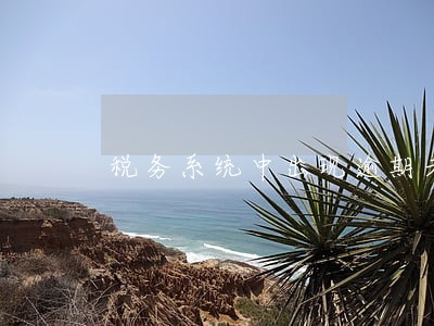 税务系统中出现逾期未缴纳税款 税务系统中出现逾期未缴纳税款