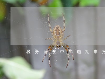 税务系统中的逾期申报怎么查询 税务系统中的逾期申报怎么查询