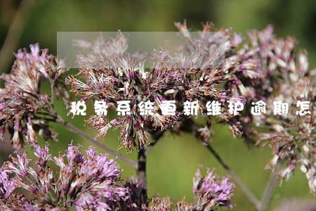 税务系统更新维护逾期怎么办 税务系统更新维护逾期怎么办