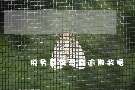 税务系统没有逾期数据 税务系统没有逾期数据