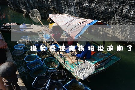 税务系统瘫痪报税逾期了 税务系统瘫痪报税逾期了