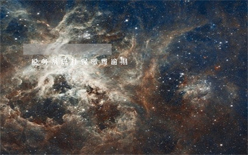 税务系统社保缴费逾期 税务系统社保缴费逾期