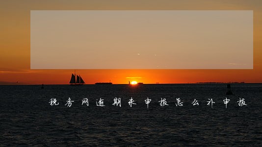 税务网逾期未申报怎么补申报 税务网逾期未申报怎么补申报