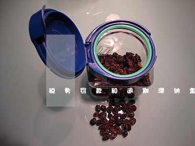 税务罚款和逾期滞纳金的区别 税务罚款和逾期滞纳金的区别
