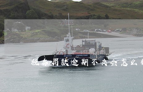 税务罚款逾期不交会怎么样 税务罚款逾期不交会怎么样