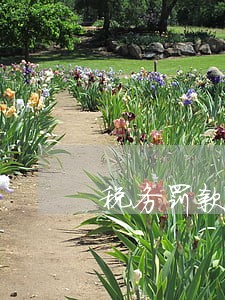 税务罚款逾期不交的后果 税务罚款逾期不交的后果