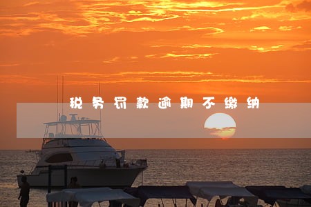 税务罚款逾期不缴纳 税务罚款逾期不缴纳