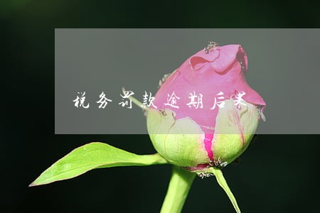 税务罚款逾期后果 税务罚款逾期后果