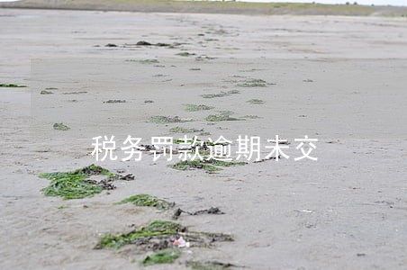 税务罚款逾期未交 税务罚款逾期未交