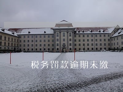 税务罚款逾期未缴 税务罚款逾期未缴