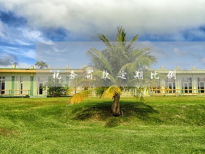 税务罚款逾期比例 税务罚款逾期比例