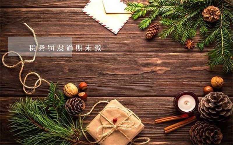 税务罚没逾期未缴 税务罚没逾期未缴