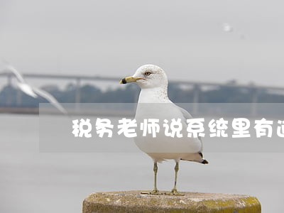 税务老师说系统里有逾期申报 税务老师说系统里有逾期申报