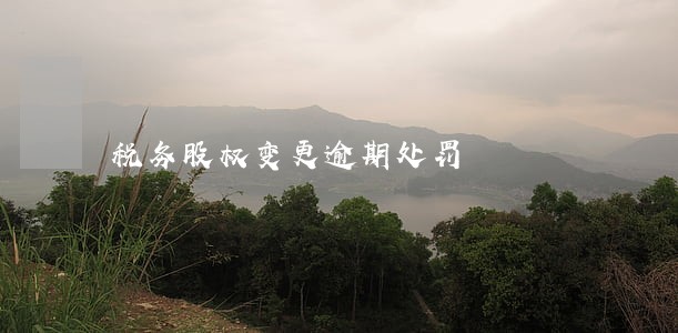 税务股权变更逾期处罚 税务股权变更逾期处罚