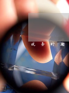 税务行政处罚三条逾期未申报记录 税务行政处罚三条逾期未申报记录