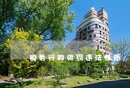 税务行政处罚违法性质