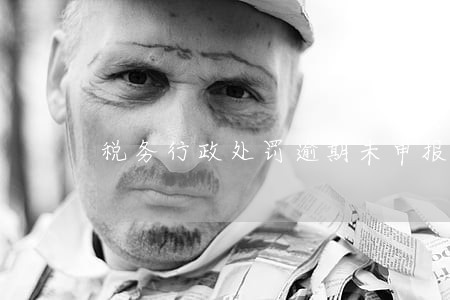 税务行政处罚逾期未申报案例