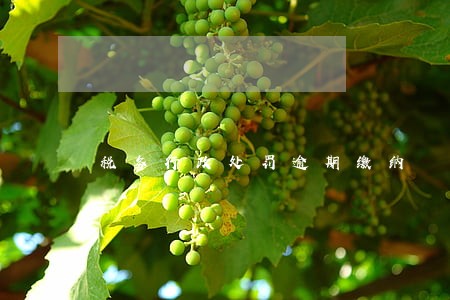 税务行政处罚逾期缴纳 税务行政处罚逾期缴纳