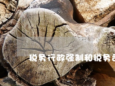 税务行政强制和税务司法强制课件 税务行政强制和税务司法强制课件
