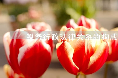 税务行政法律关系的构成要素 税务行政法律关系的构成要素