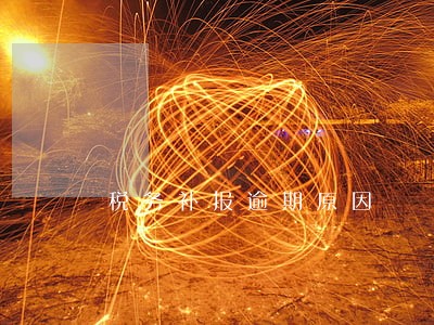 税务补报逾期原因 税务补报逾期原因