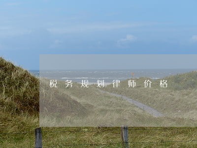 税务规划律师价格 税务规划律师价格