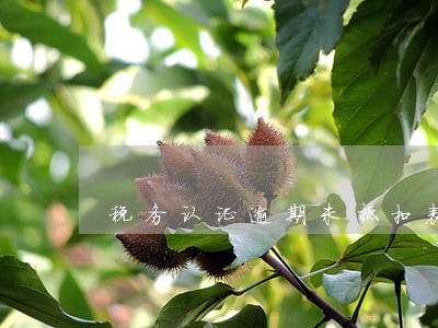 税务认证逾期未抵扣表 税务认证逾期未抵扣表