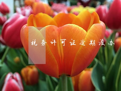 税务许可证逾期没办 税务许可证逾期没办
