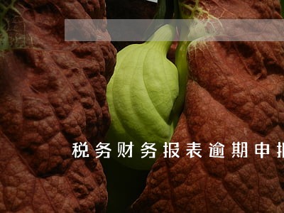 税务财务报表逾期申报后果 税务财务报表逾期申报后果