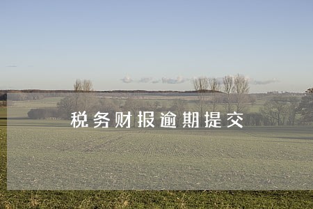 税务财报逾期提交 税务财报逾期提交