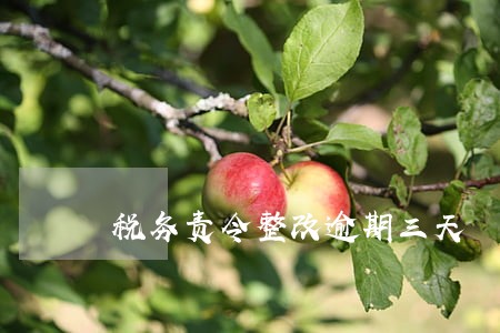 税务责令整改逾期三天 税务责令整改逾期三天