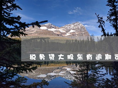 税务贷大股东有逾期可以贷吗 税务贷大股东有逾期可以贷吗