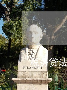 税务贷法人有逾期 税务贷法人有逾期
