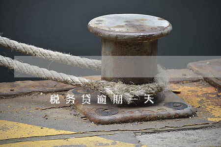 税务贷逾期一天 税务贷逾期一天
