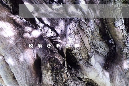 税务迁移逾期 税务迁移逾期