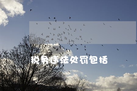 税务违法处罚包括 税务违法处罚包括