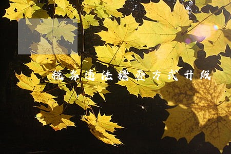 税务违法稽查方式升级 税务违法稽查方式升级