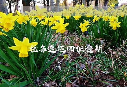税务送达回证逾期 税务送达回证逾期